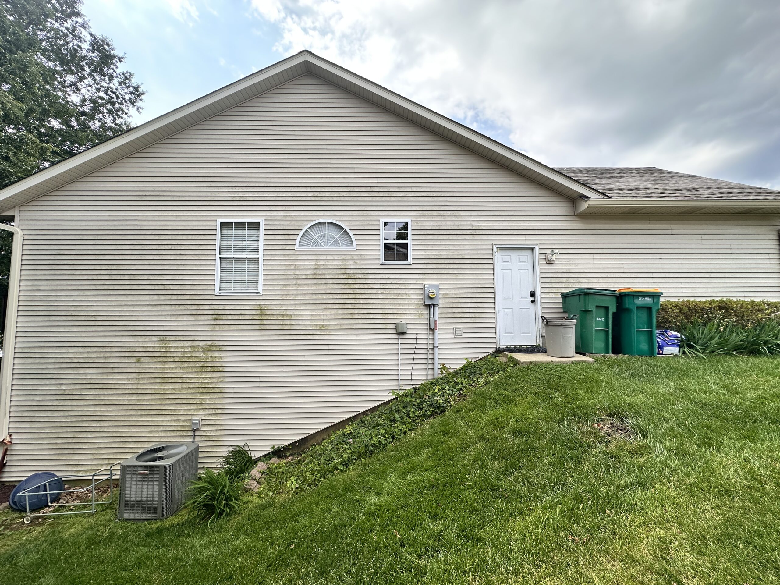 Exterior surface before professional exterior cleaning by Limitless Exterior Cleaning in the greater St. Louis metro area