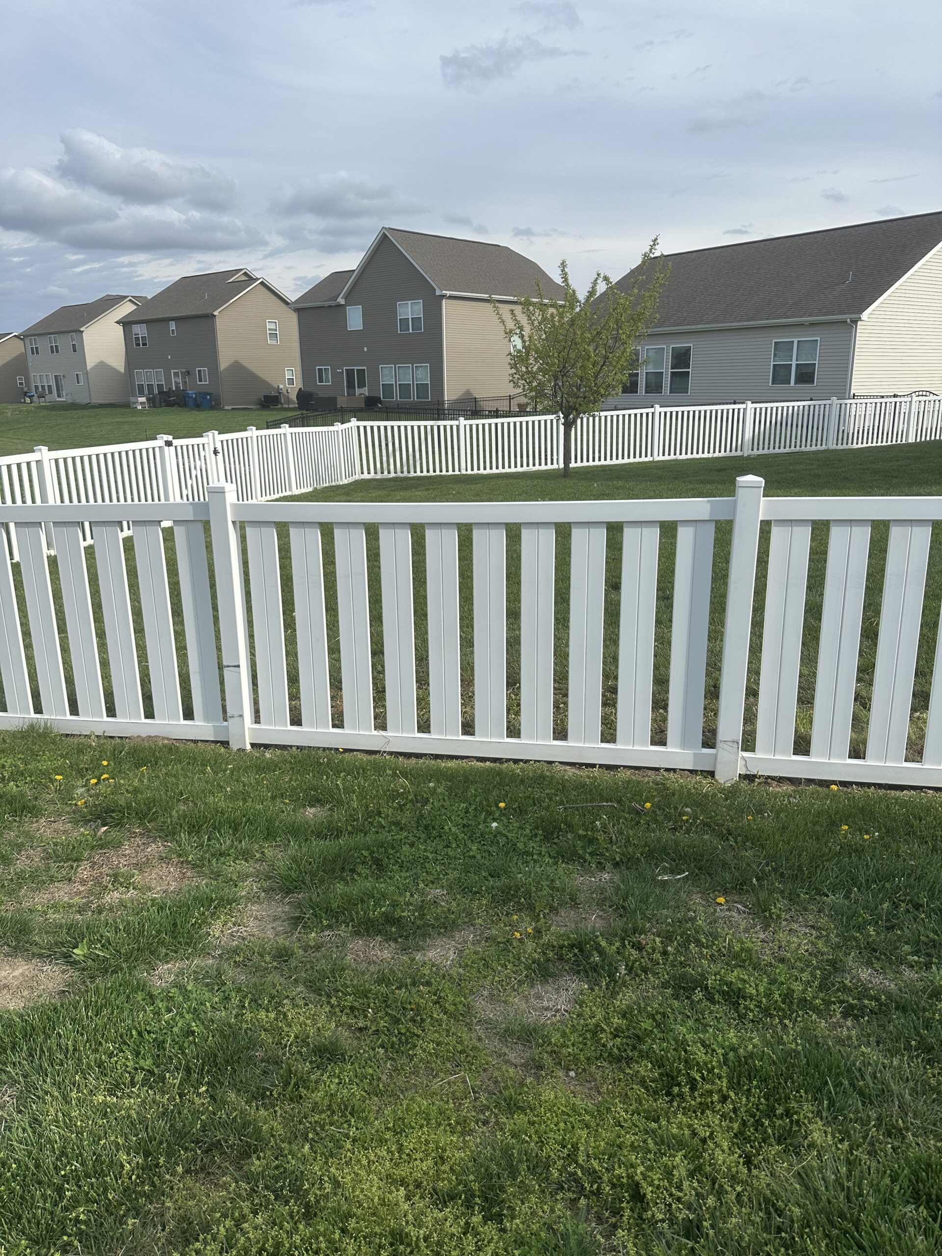 Limitless Exterior Cleaning fence and deck cleaning service