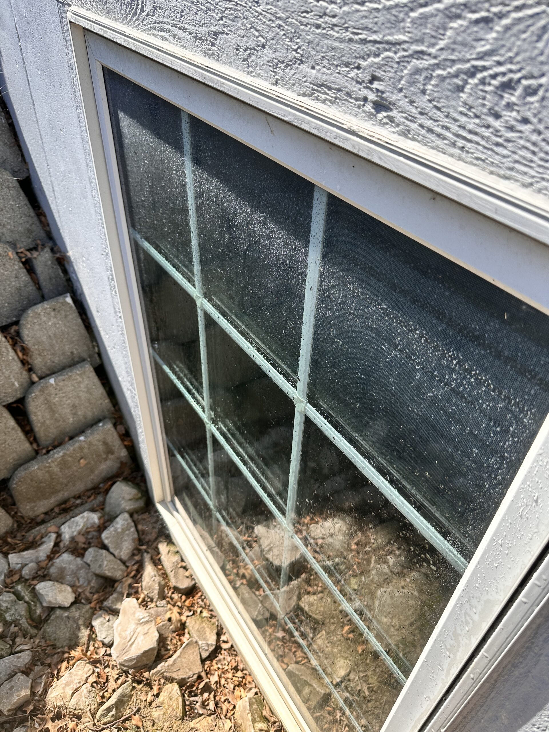 Limitless Exterior Cleaning transformation before professional cleaning